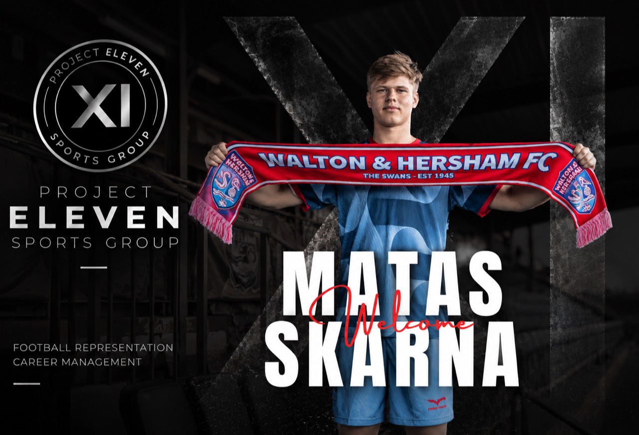 Matas Škarna Project Eleven welcome profile graphic